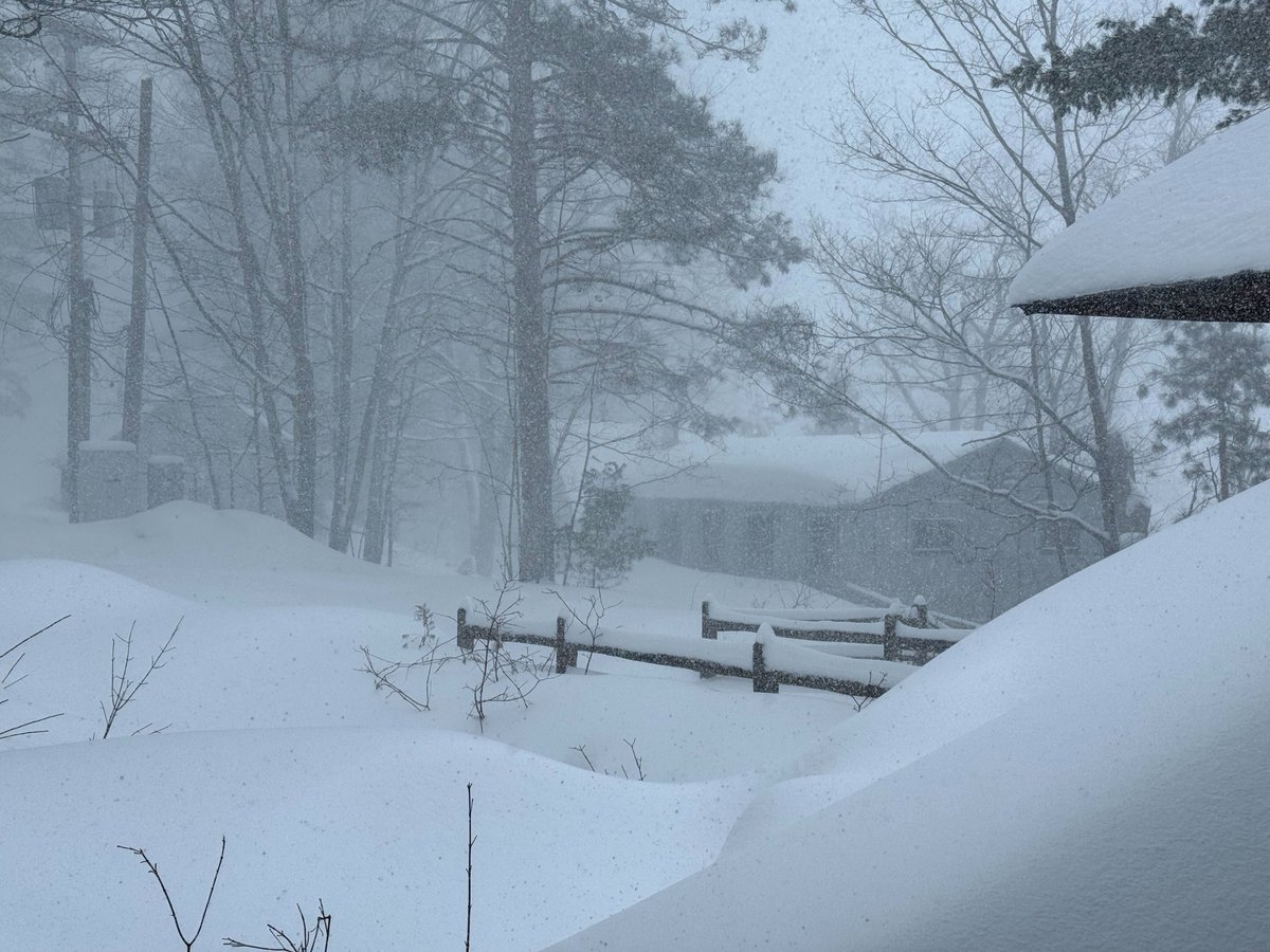 UM Biological Station tweet media