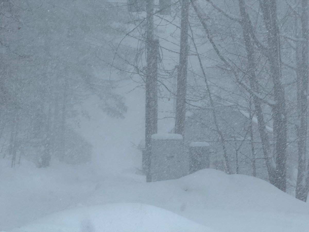 UM Biological Station tweet media