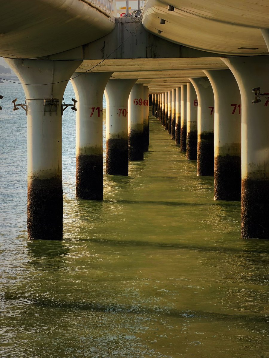 一块豆腐鸭 tweet media