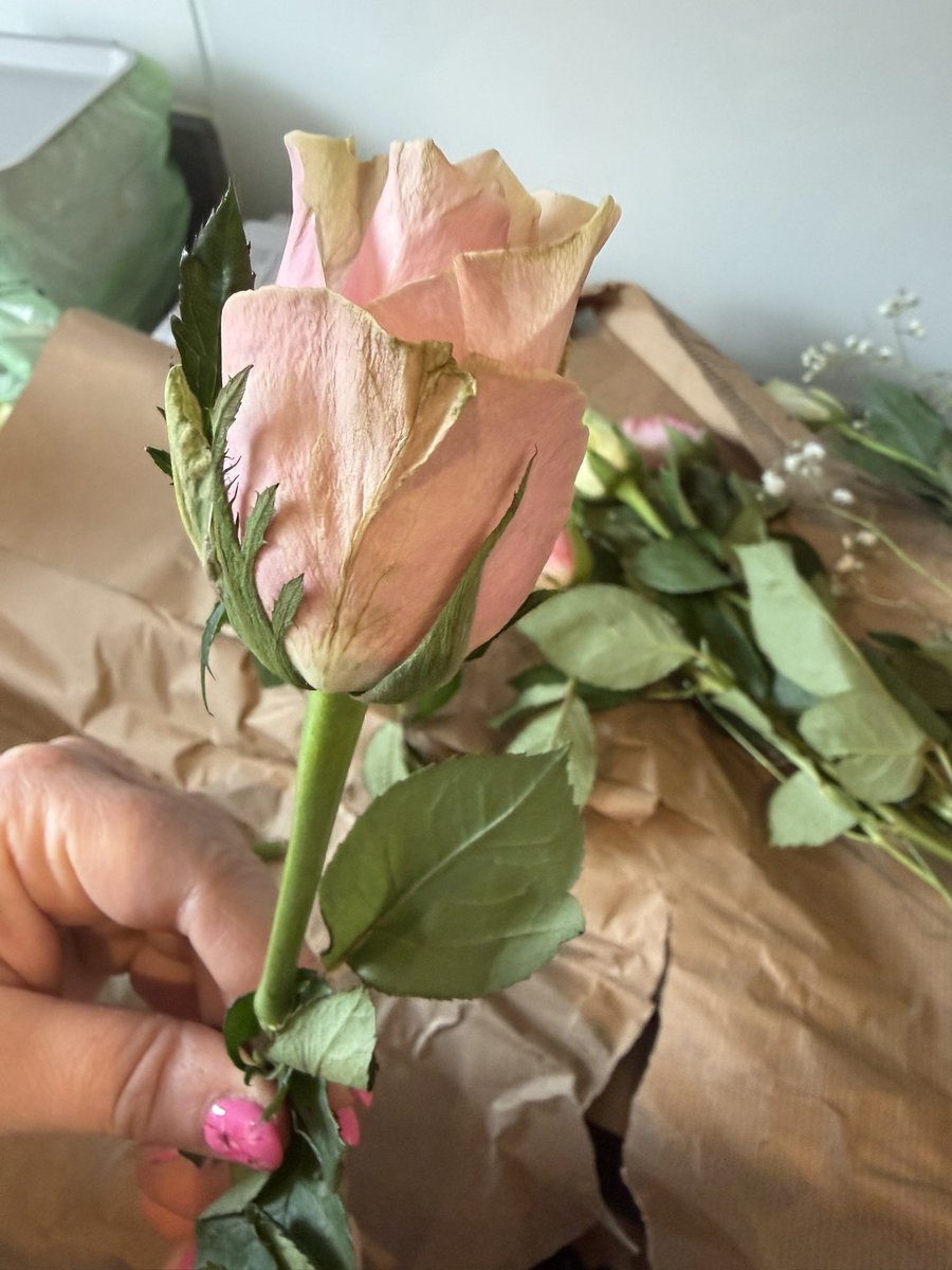 tom85uk's tweet photo. @SerenataFlowers awful Mother’s Day flowers supplied today, I am expecting a full refund. It has ruined Mother’s Day - a first Mother’s Day.

Avoid this company!!! Avoid! https://t.co/SCyDMjDZ33