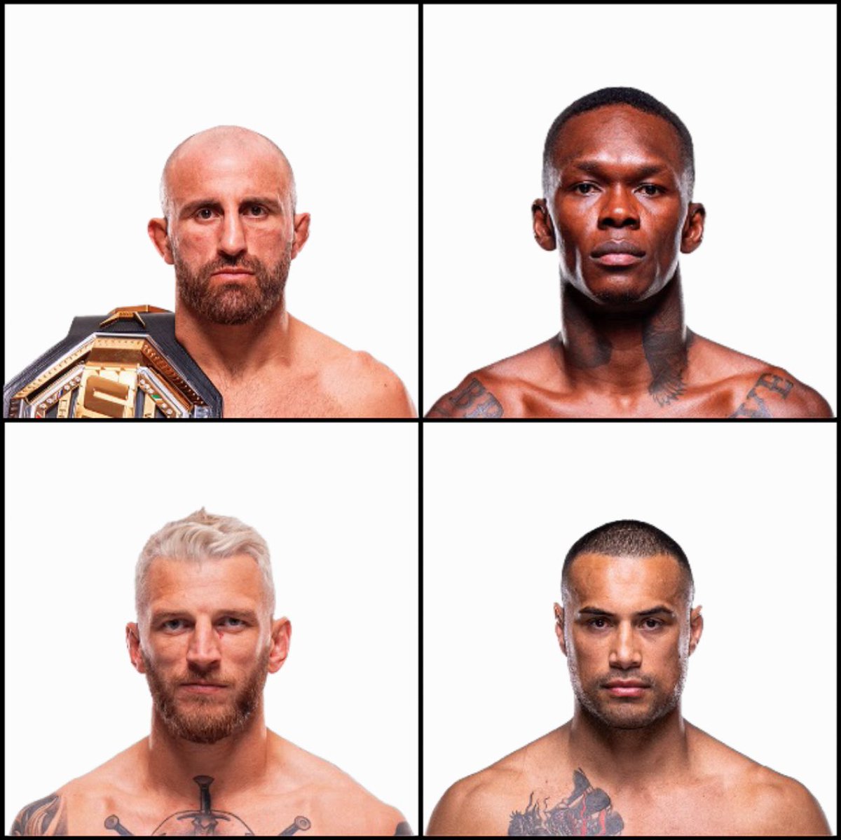 Blind Bear 🐻🕶️ tweet media