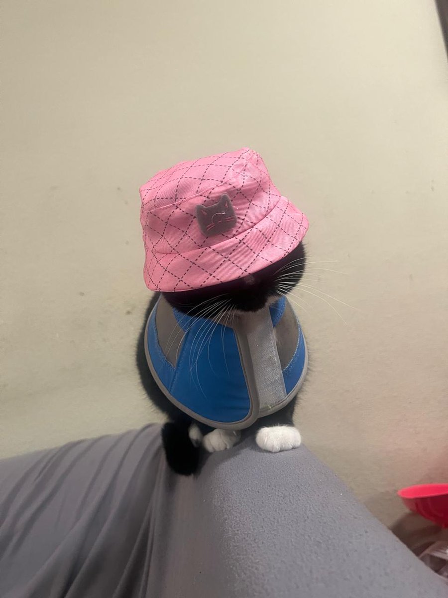 are we wen yet? tweet media