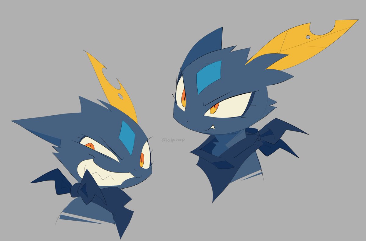 KELP ✈ tweet media