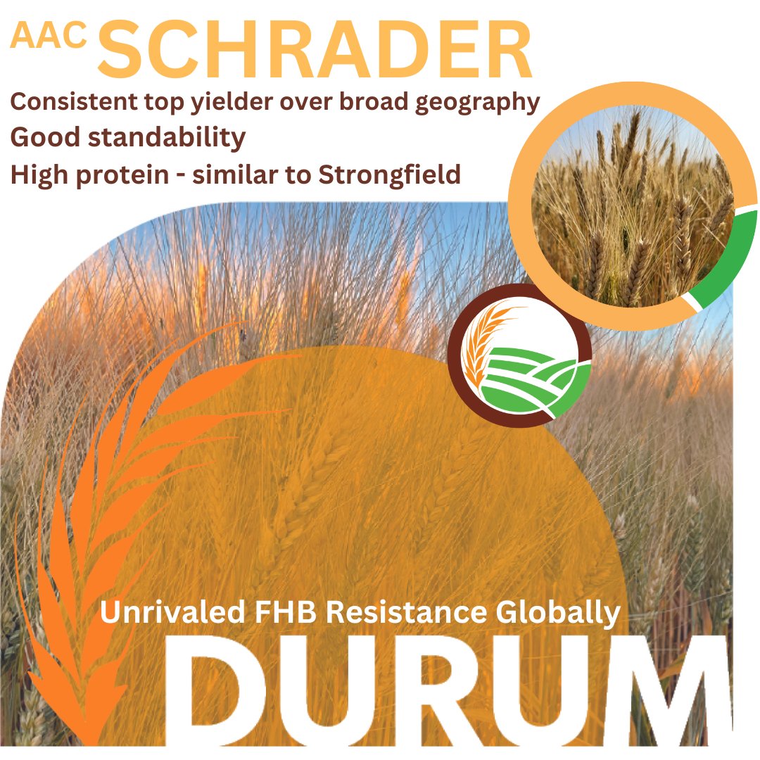 FP Genetics tweet media