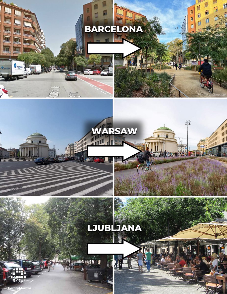 The City Mentor tweet media