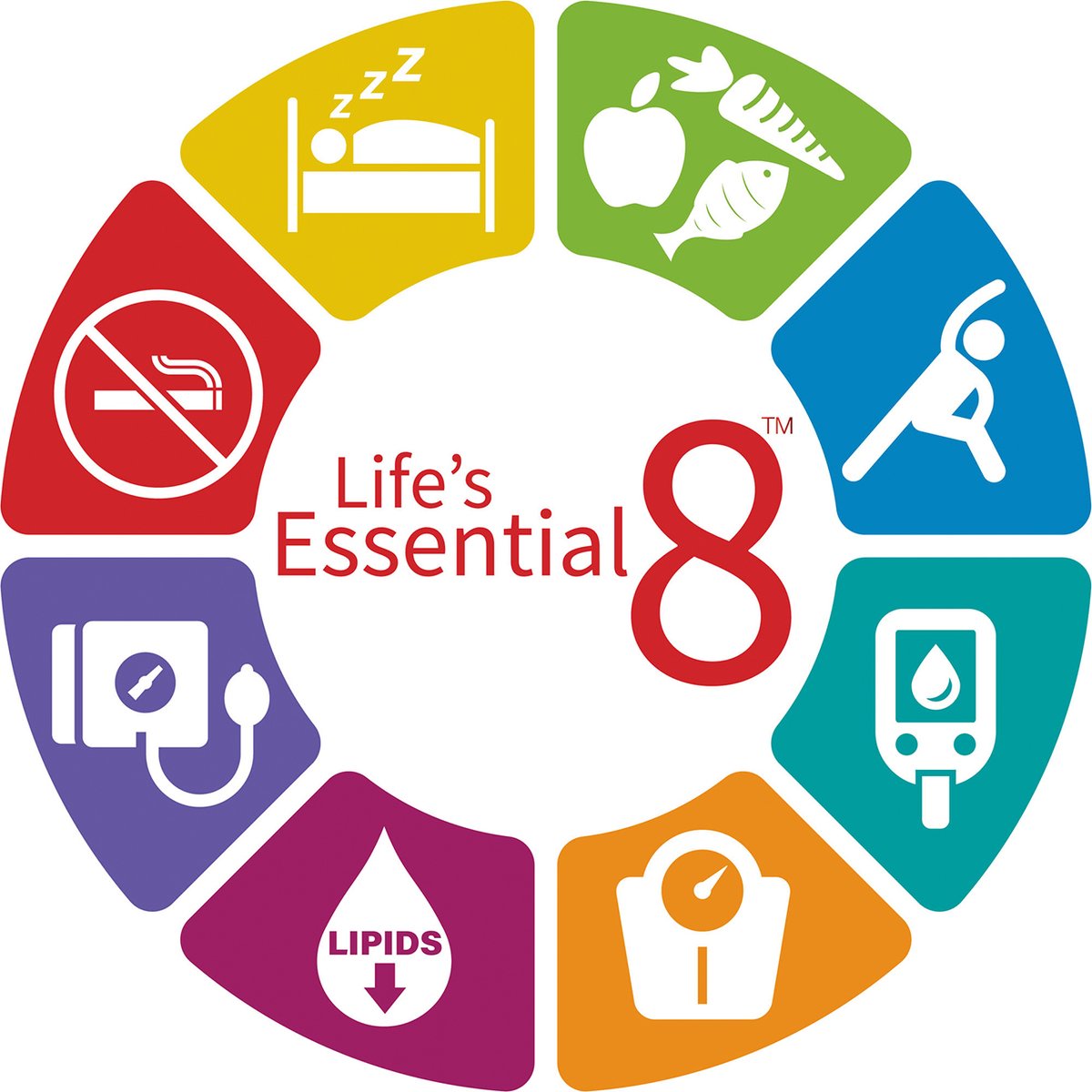 JACCJournals's tweet photo. Clinical practice guidelines shape cardiovascular care worldwide. This report outlines the principles and development process used by the ACC and AHA Joint Committee to produce evidence-based recommendations. 📚🫀 https://t.co/Dek2yXgQfc #JACC https://t.co/JidFWAjr2k