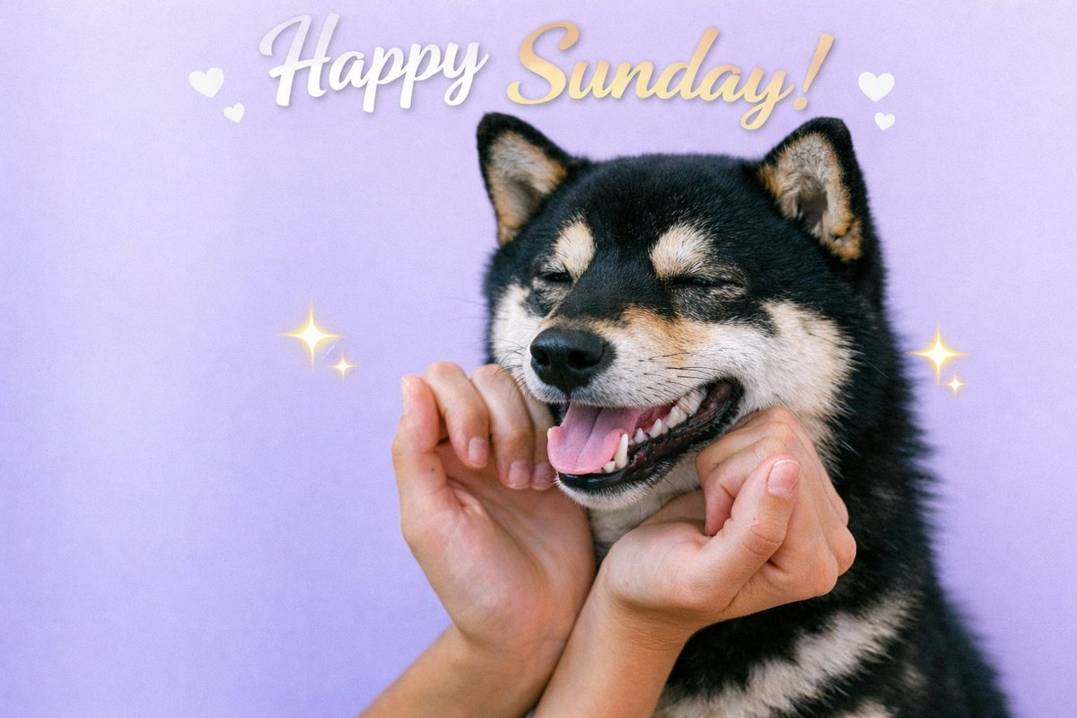 Happy Sunday, degens &amp; kings alike.

Coffee in one hand, seed phrase in the other, throne somewhere in the distance.

May your bags be green, your vibes high, and your FOMO non-existent today.
Who else is alpha-maxing this weekend? 
$TOTAKEKECTO to the moon.

Link in bio / CA: