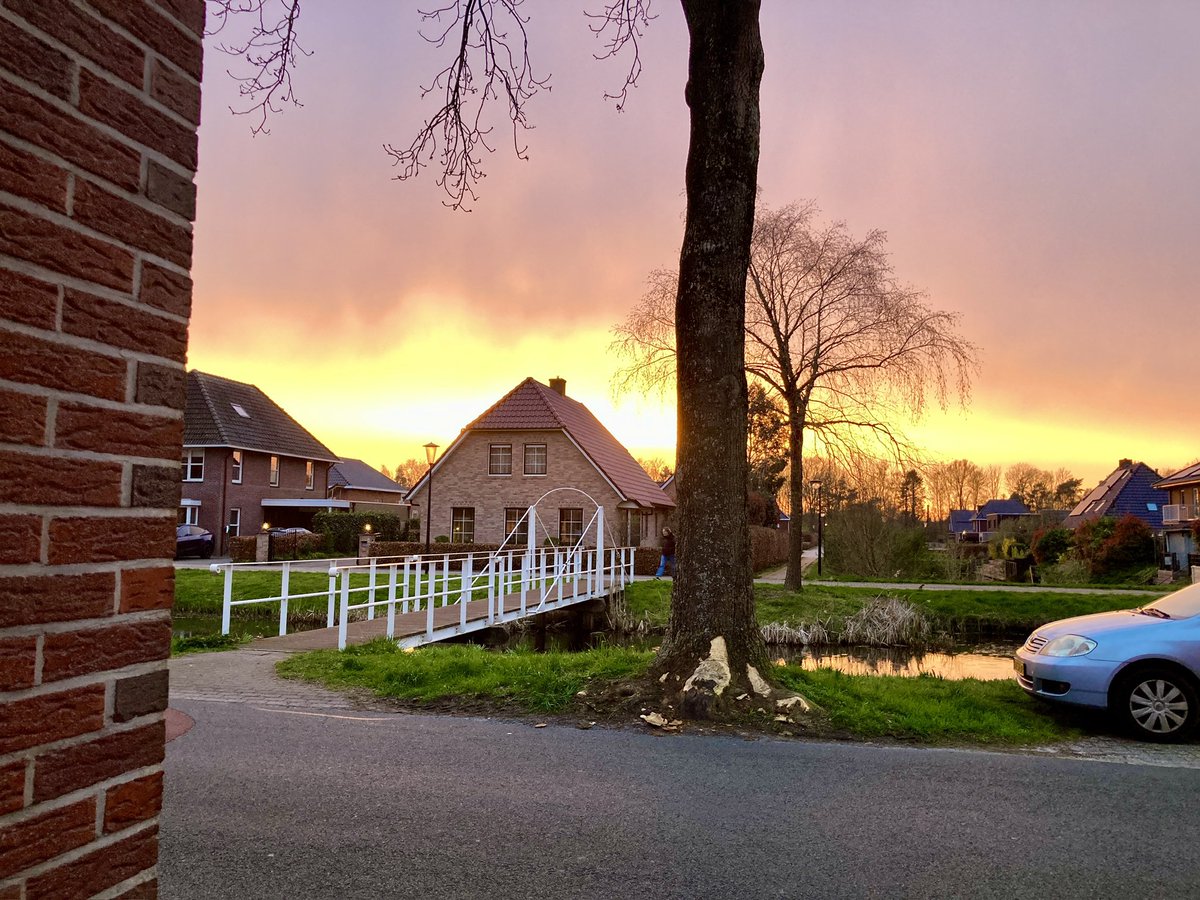 P.J. Nieland tweet media