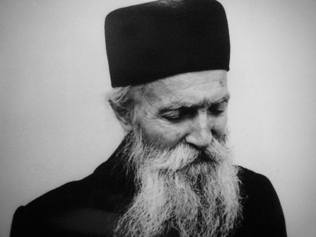 🐺 PHAYDROS 🦅 tweet media