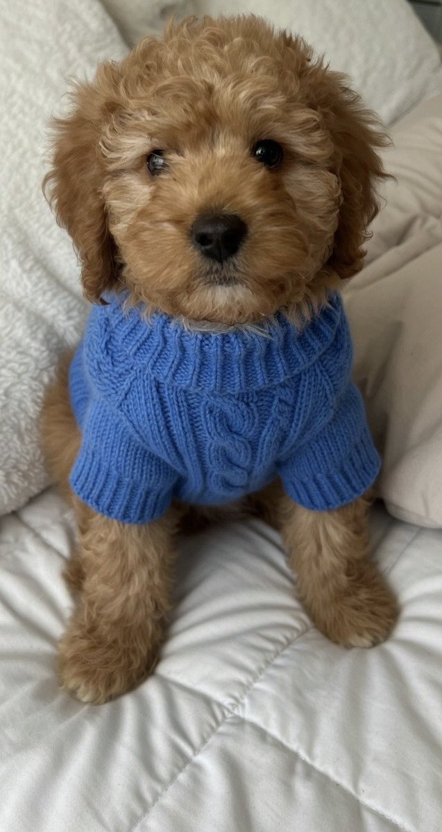 Olive🫒 tweet media