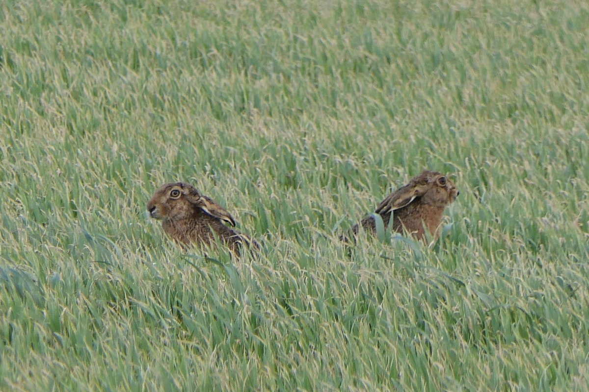 𝓡𝓮𝓿𝓭 𝓓𝓪𝓿𝓲𝓭 𝓐𝓽𝓴𝓲𝓷𝓼𝓸𝓷 tweet media