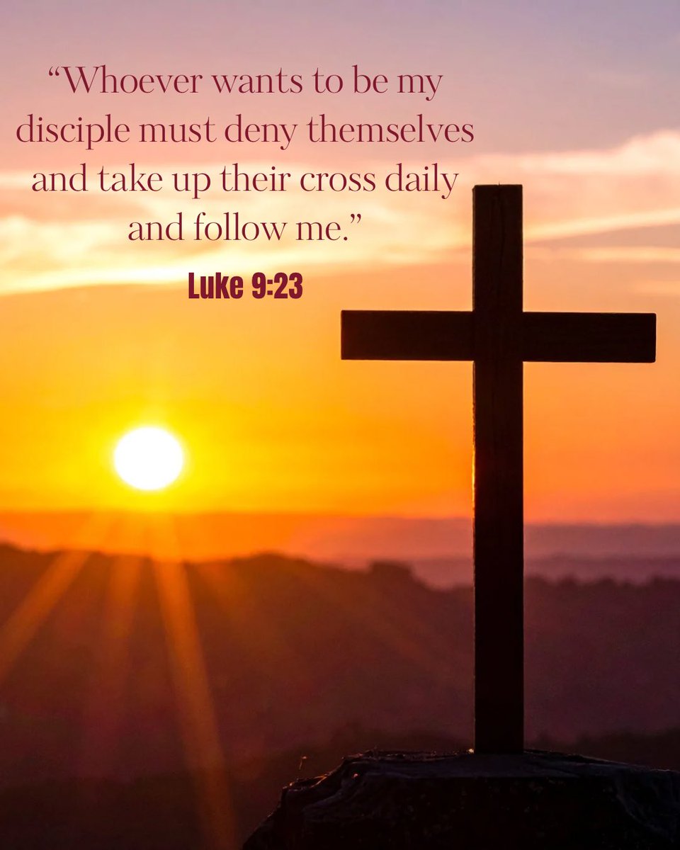 David Cook tweet media