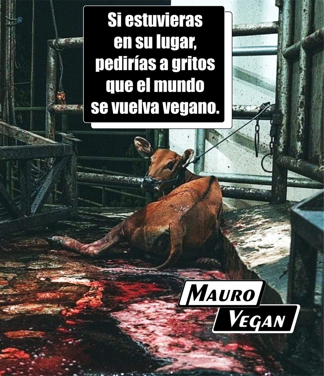 Si estuvieras en su lugar, pedirías a gritos que el mundo se vuelva completamente vegano.