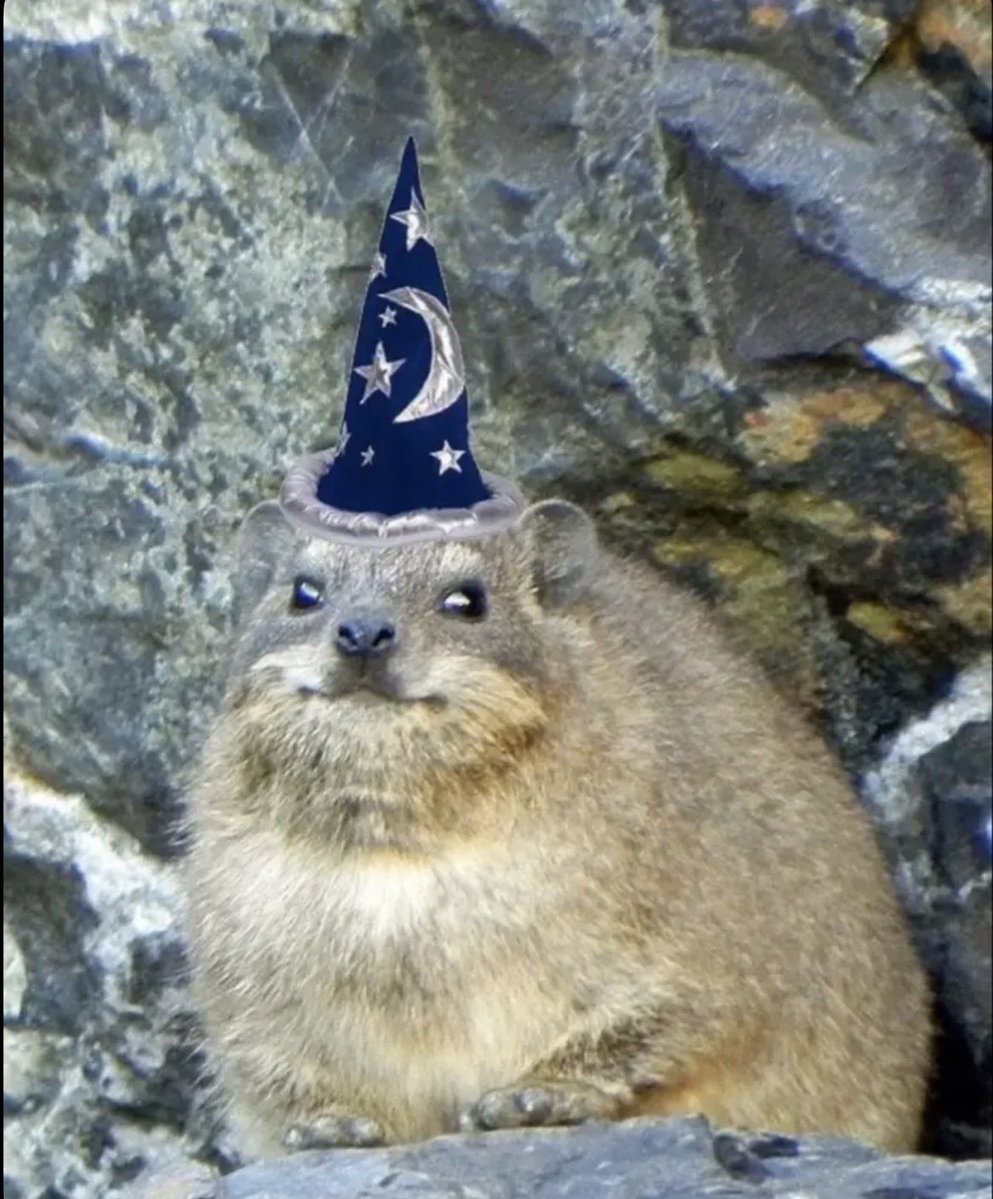 🥀 | victor tweet media