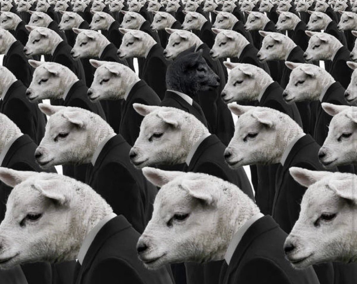 Black_Sheep_Rok's tweet photo. Proud to be the black sheep. #blacksheeprocksyou #unafraid #genuine #original #real #musician #music #liveyourlife https://t.co/CzQgN1r6Vr