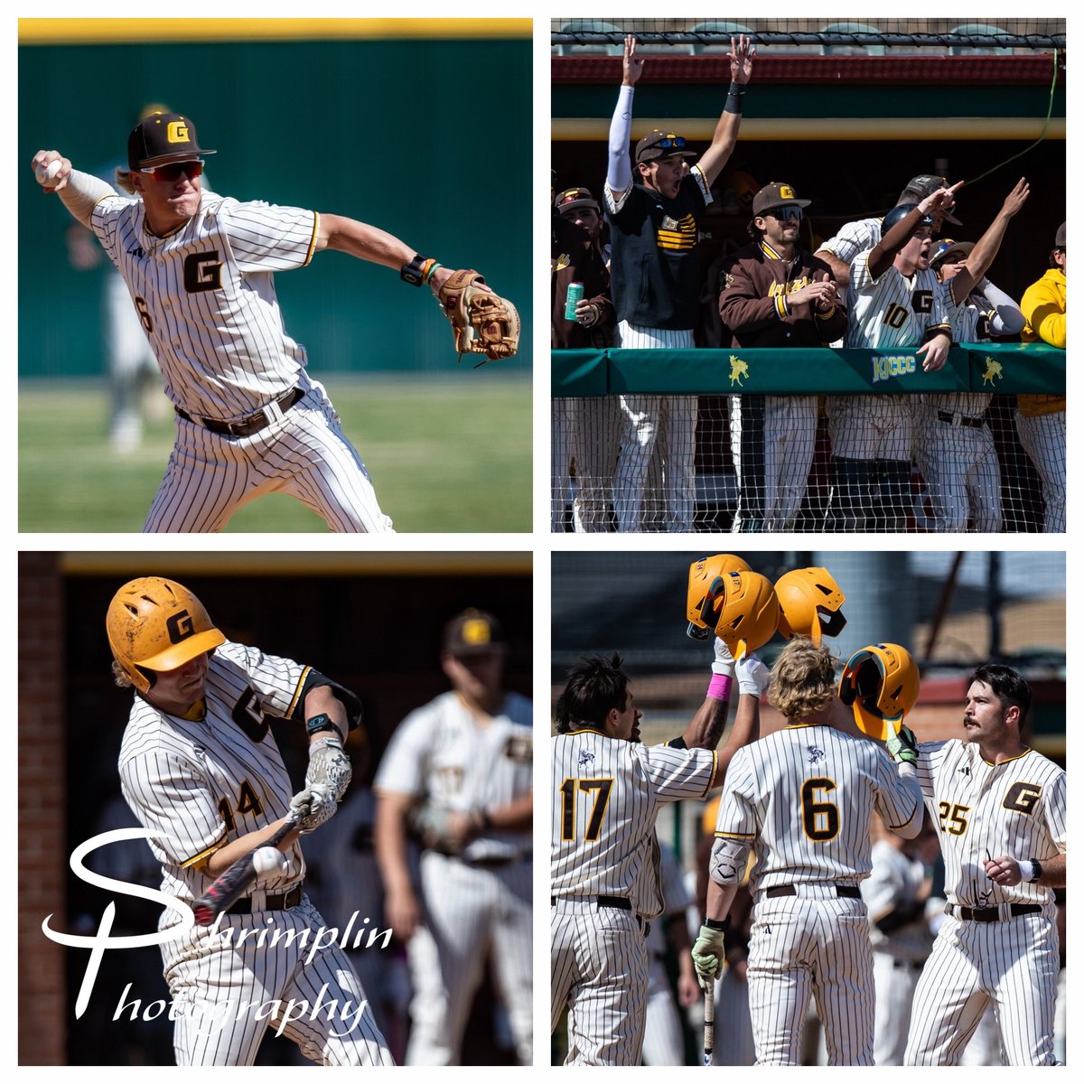 Adam Shrimplin tweet media