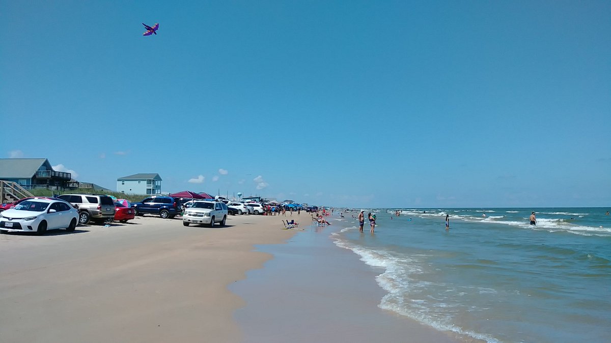 Navarro Volleyball tweet media