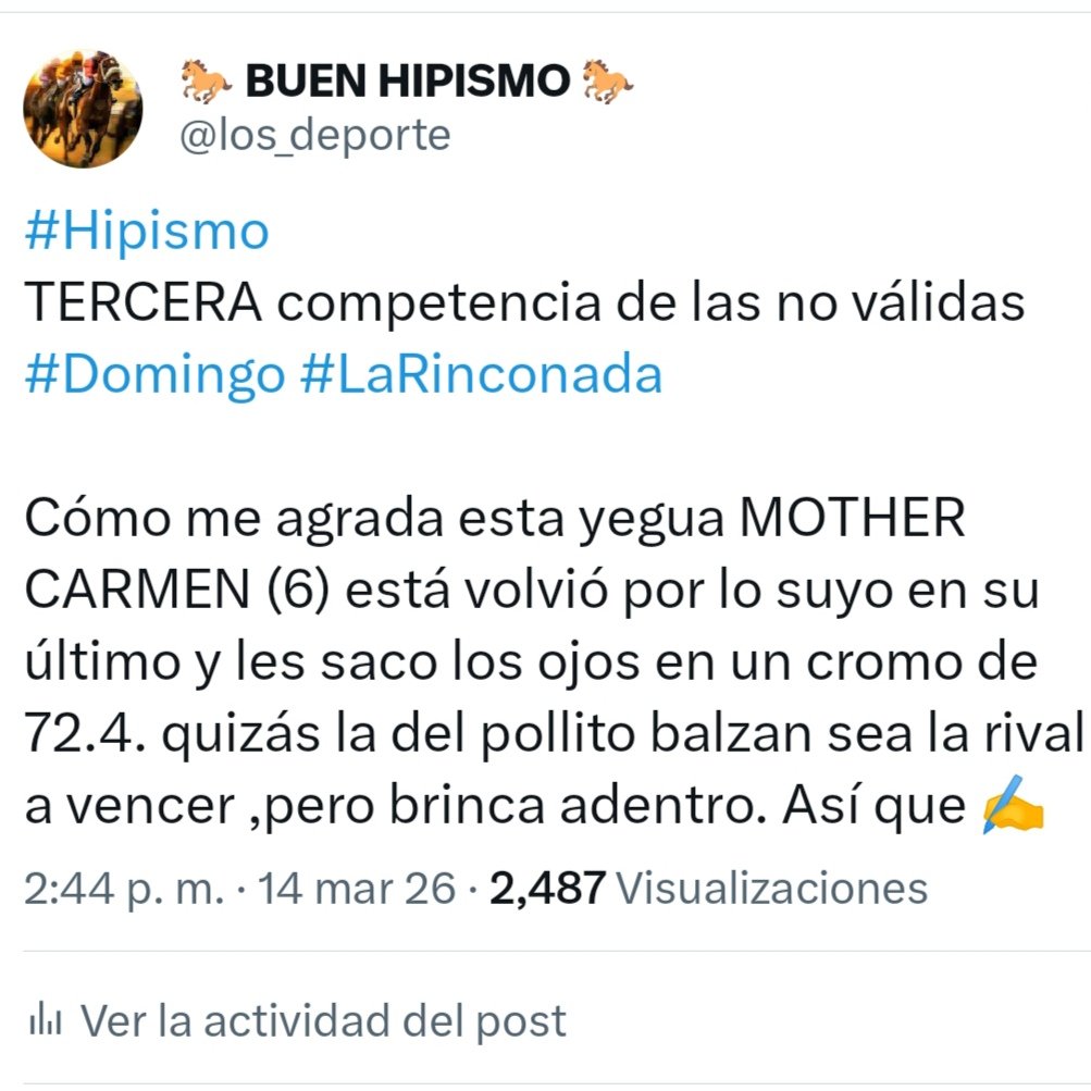 🐎 BUEN HIPISMO 🐎 tweet media