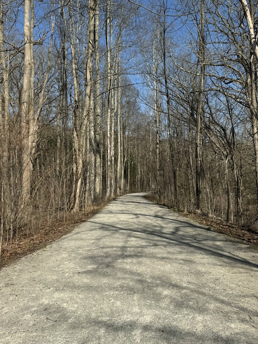 ZitoSalena tweet media