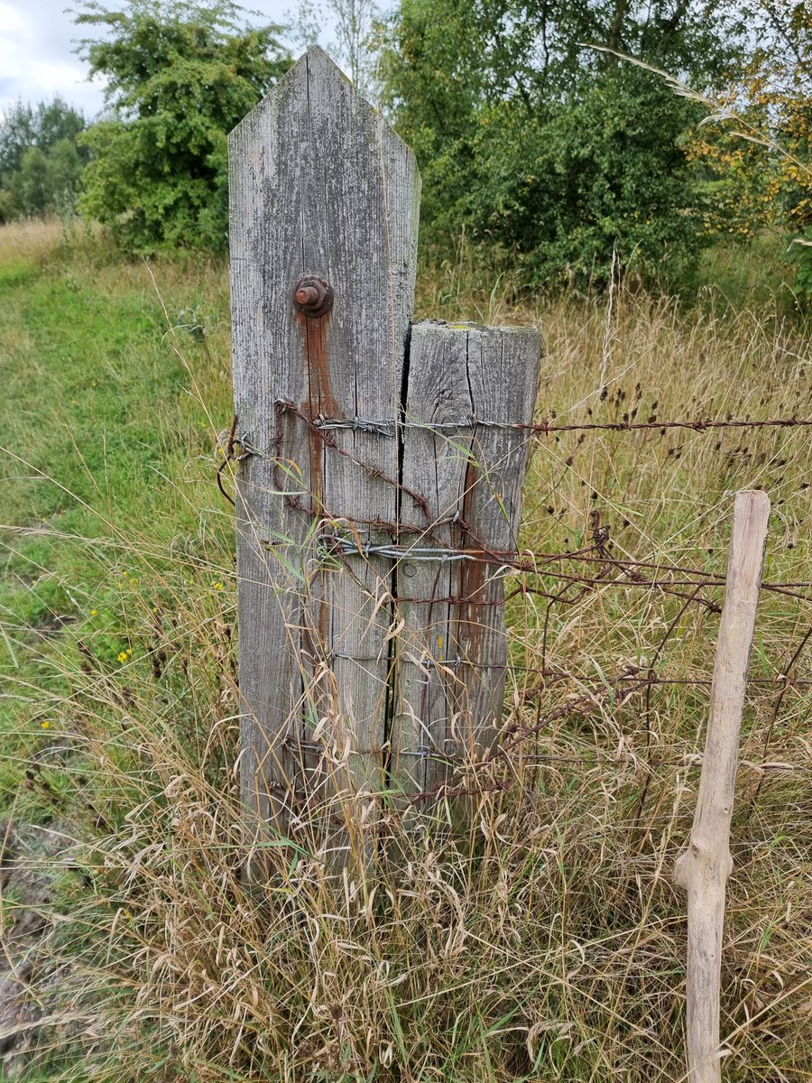 Albert Didds tweet media