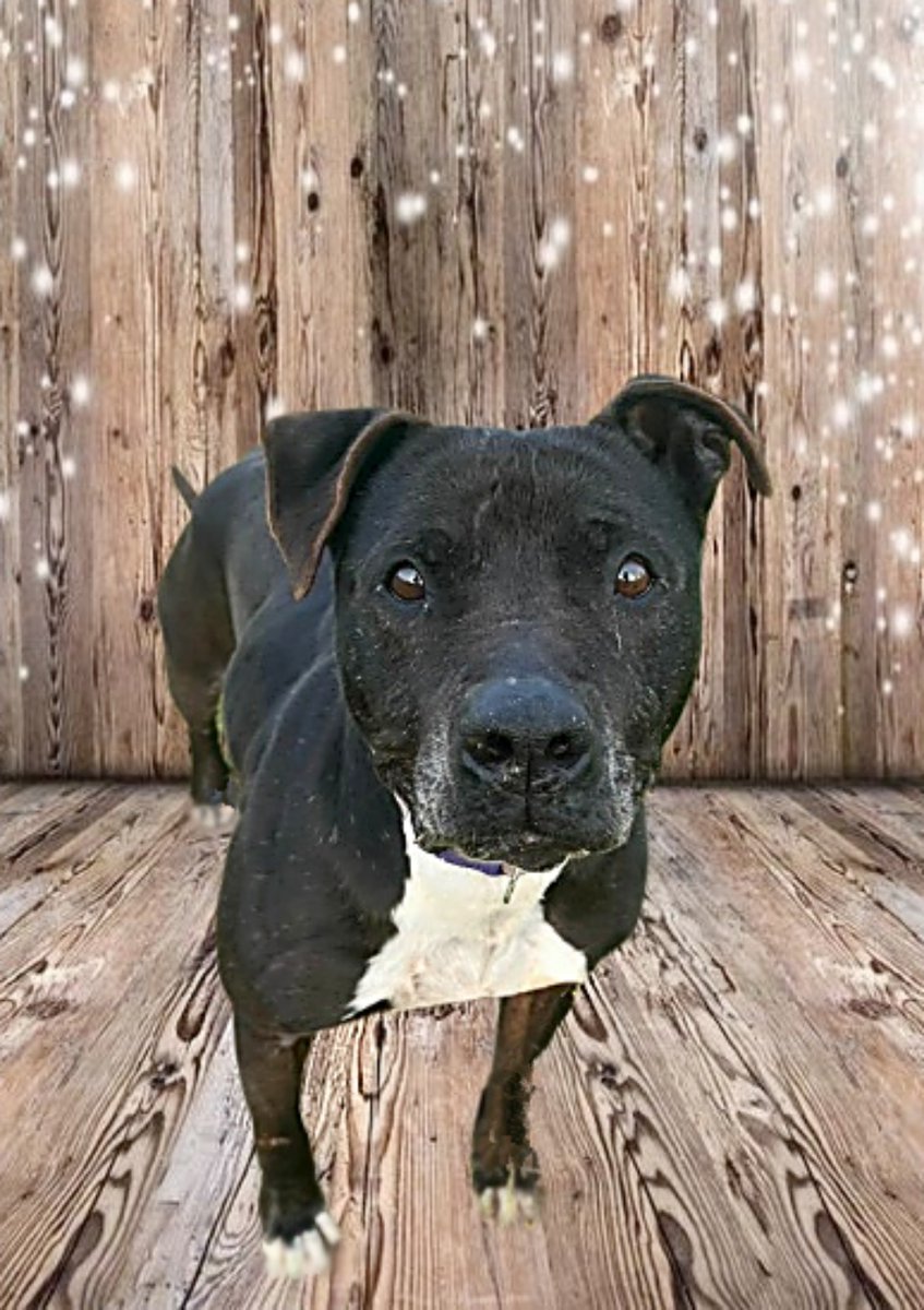 SOS Abuelos tweet media