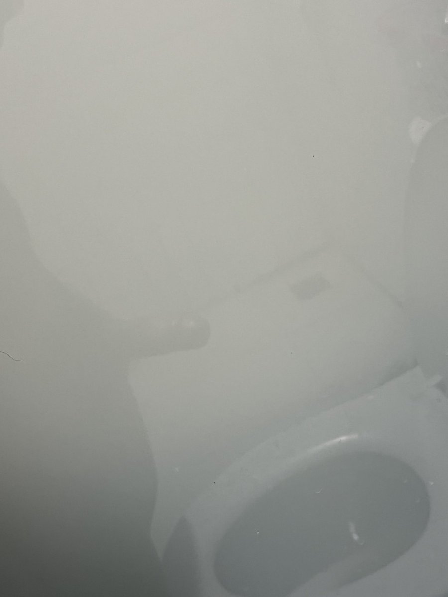 startwith n tweet media