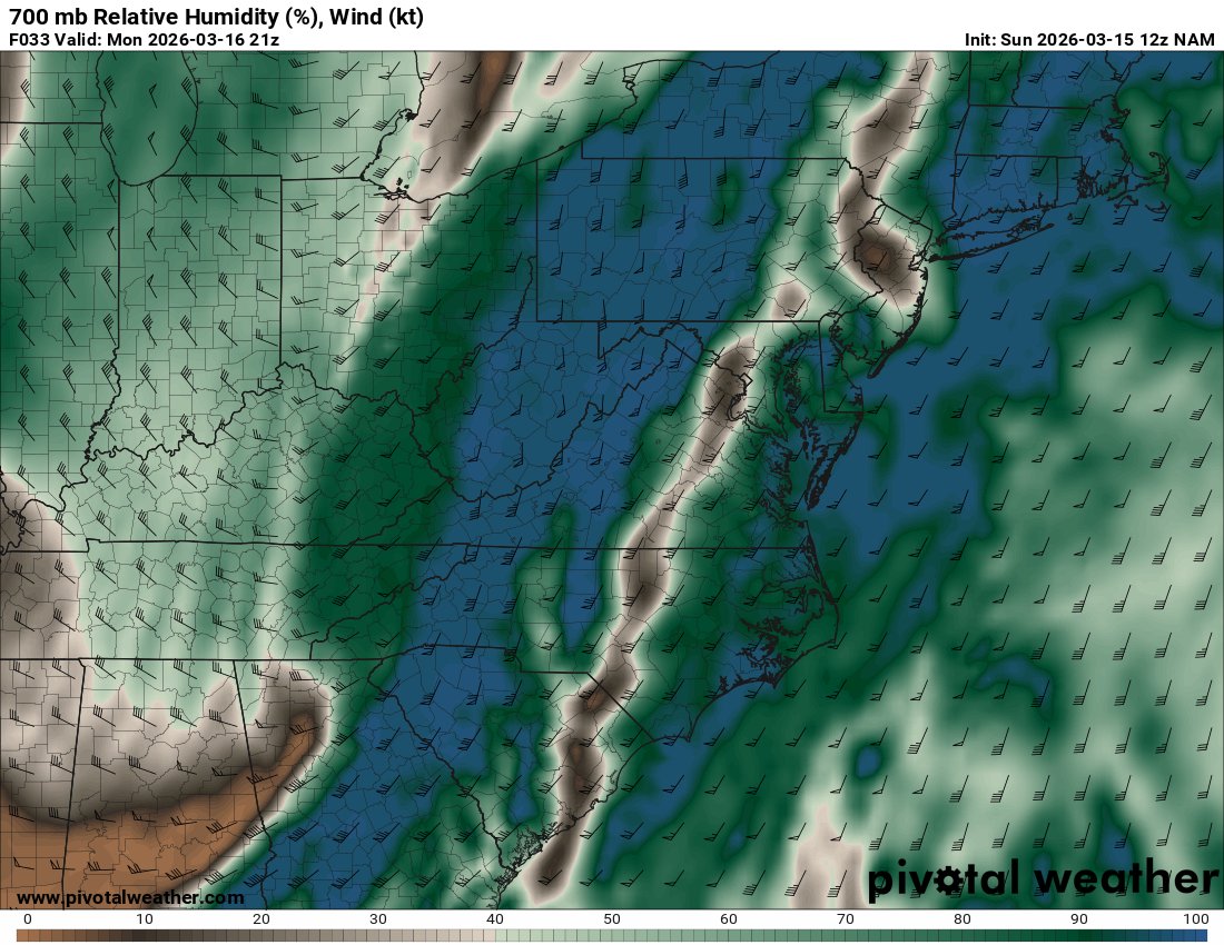 Peter Forister 🍁🍂🍁 tweet media