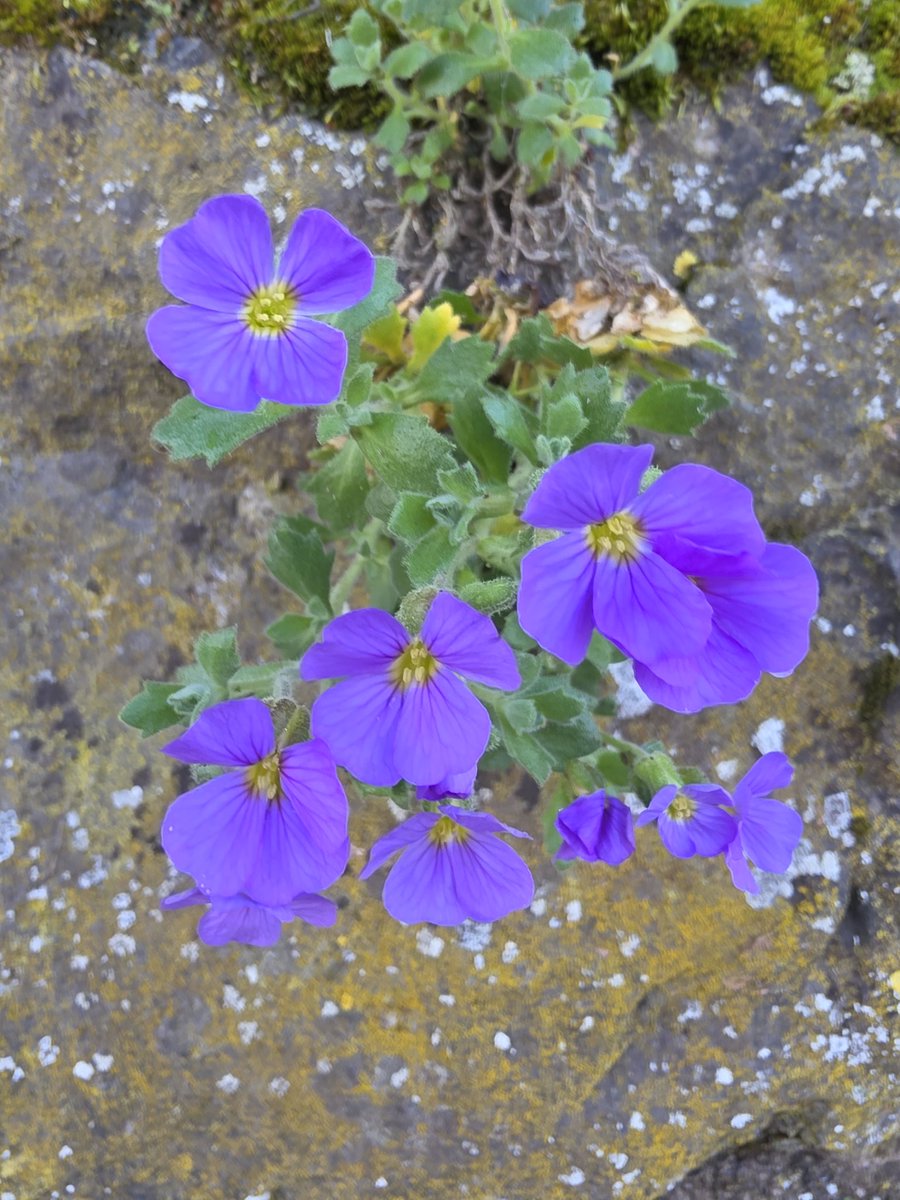 respecting nature tweet media