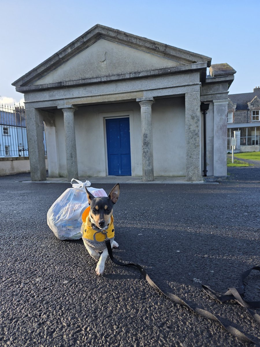 respecting nature tweet media