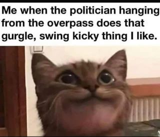 <a href="/libsoftiktok/">Libs of TikTok</a>