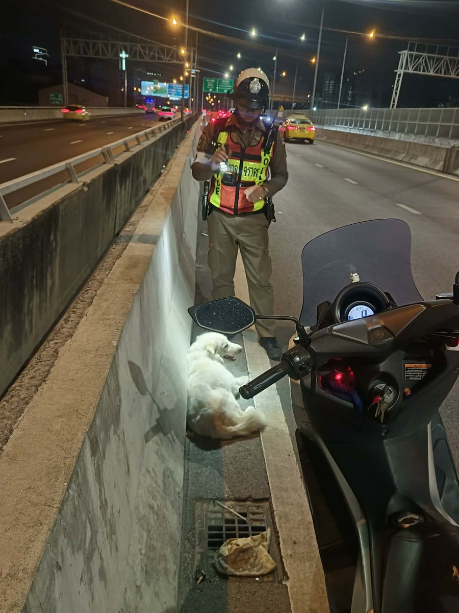 #พระราม3 ใครทำหมาตกจากรถ รีบมารับน้องกลับบ้านด่วนค่ะ น้องเหมือนบาดเจ็บด้วยน่าสงสารมาก ฝากเพื่อนๆช่วยแชร์หน่อยนะคะอยากให้น้องได้กลับบ้าน

ตามหาเจ้าของ ทำหมาหล่นจากรถ 
พิกัด ทางยกระดับ คลองเตย-พระราม 3
วันที่ 15 มีนาคม ช่วง 21:00 น

ใครเป็นเจ้าของติดต่อ
โทร 0829610427
.
#lostpuppy