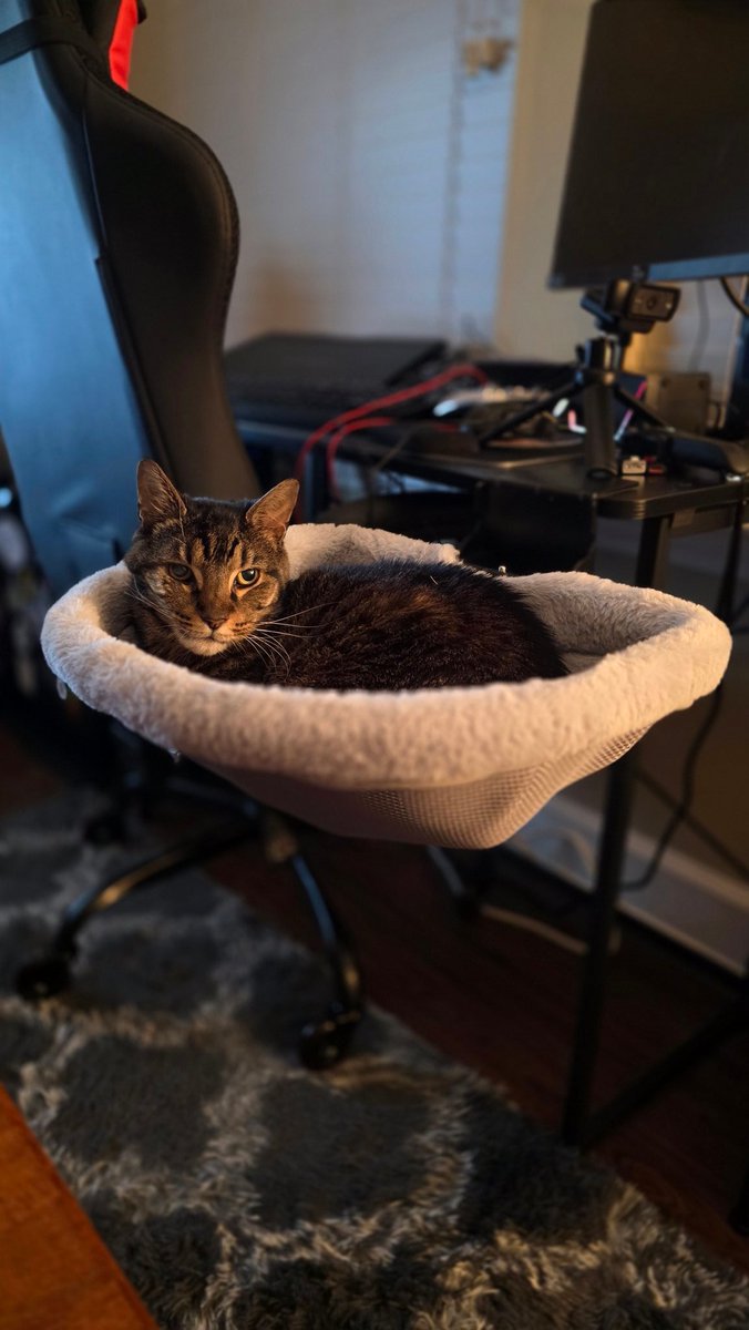 Bo Knows Zero tweet media