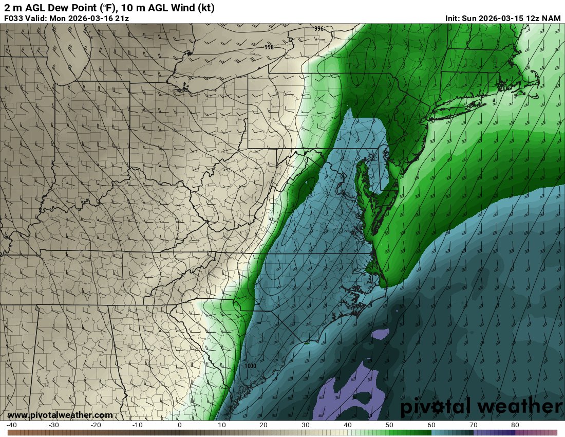 Peter Forister 🍁🍂🍁 tweet media
