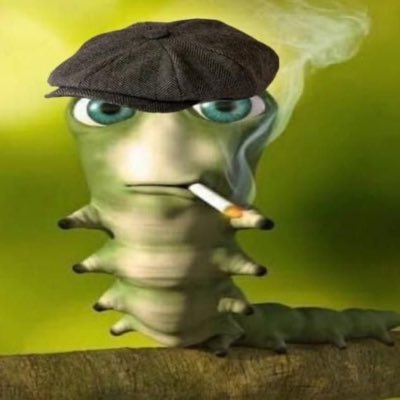 blackpillbaddie's tweet image. i cannot risk it w my face anymore #scared