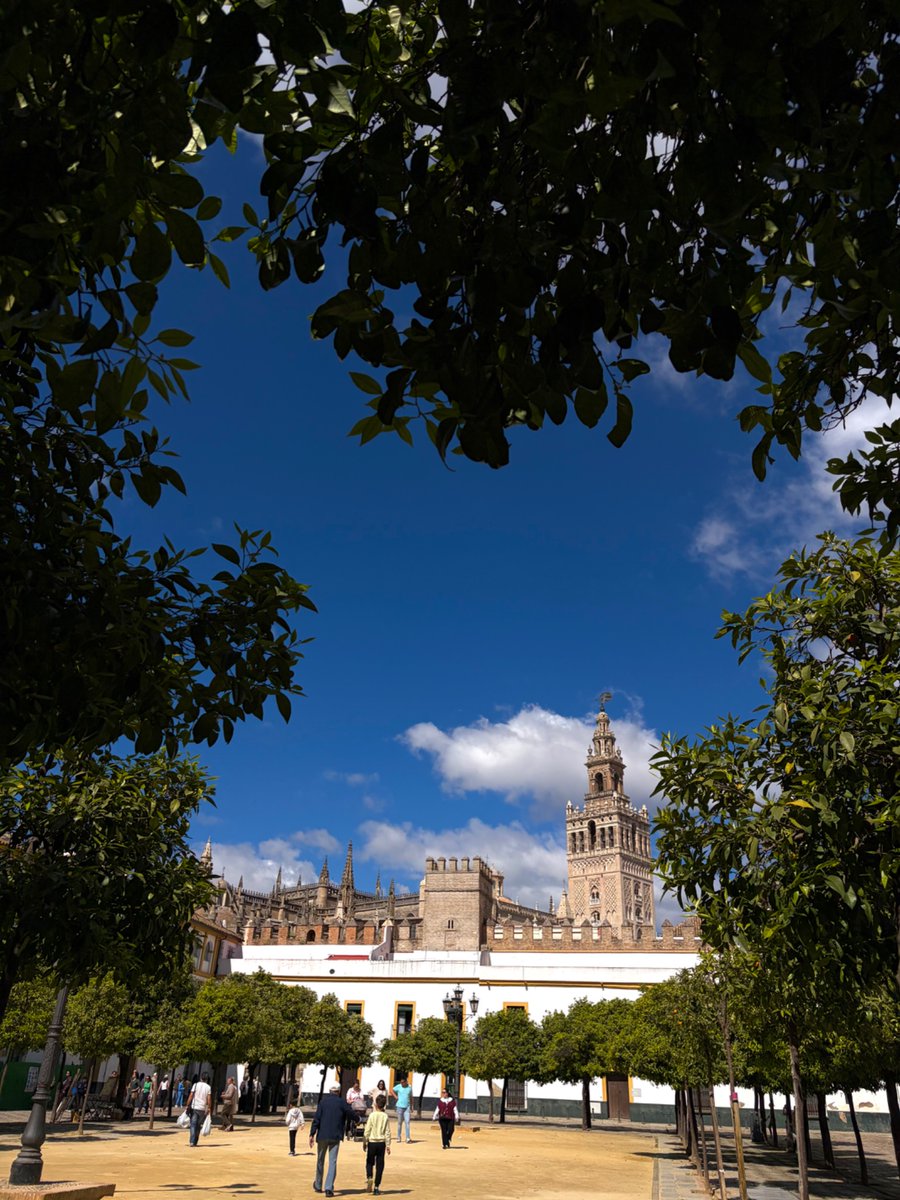 Marisa Reverte tweet media