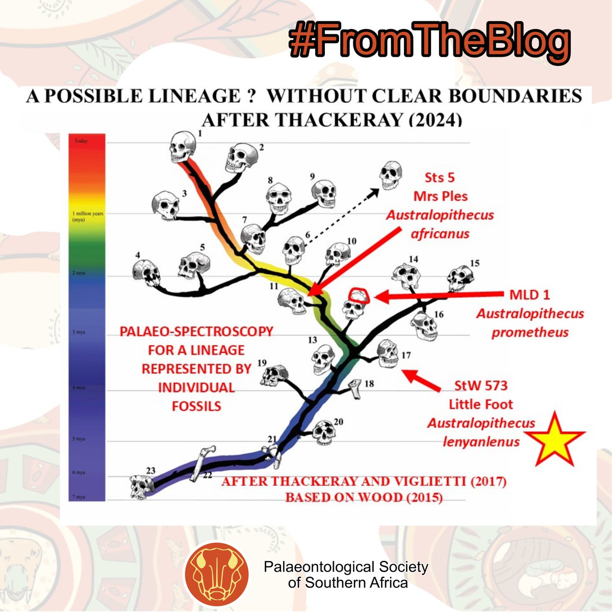 Palaeontological Society of Southern Africa tweet media