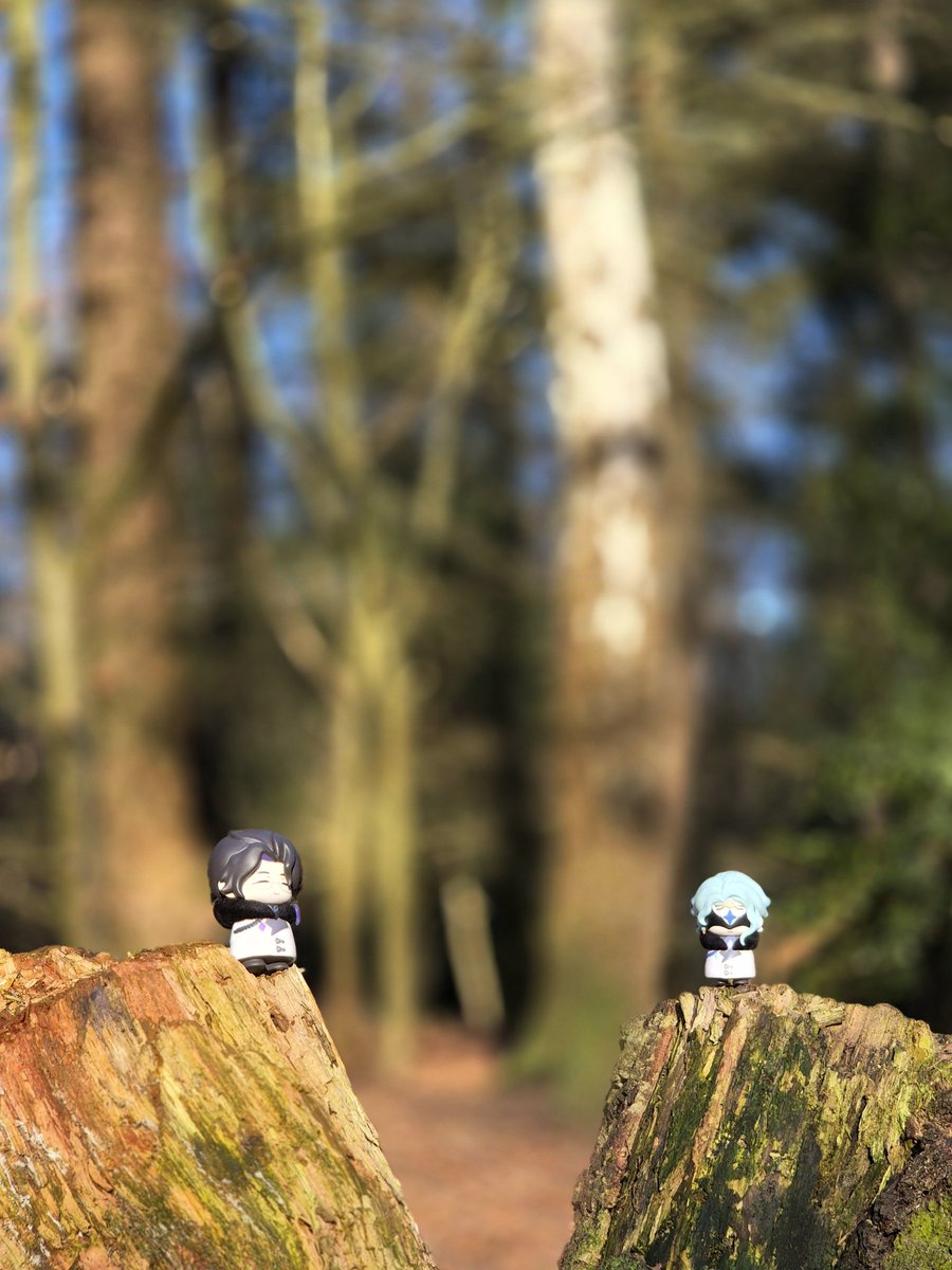 Cobra // 💉 tweet media