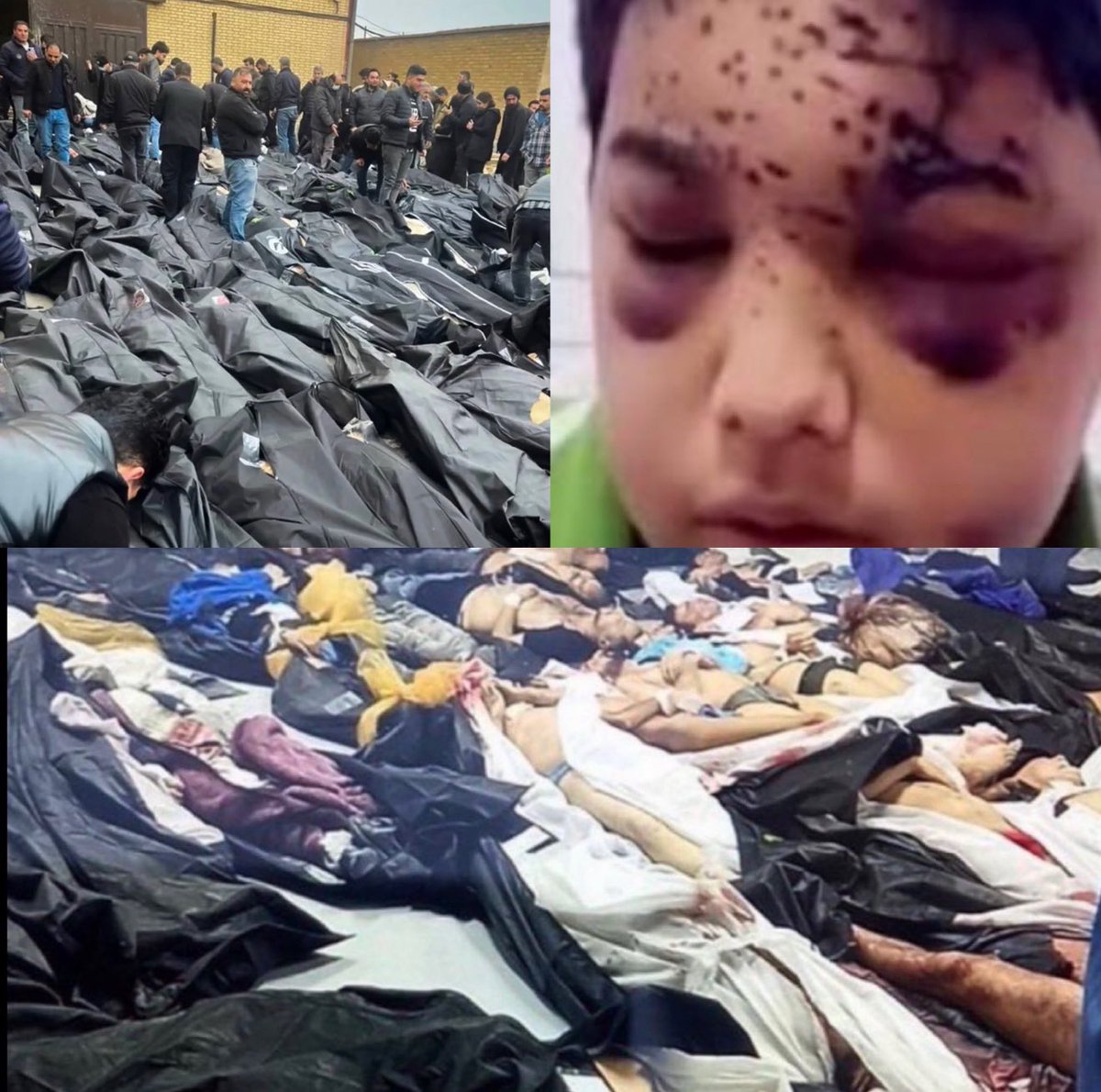 Shadowofaname 🇮🇷 tweet media