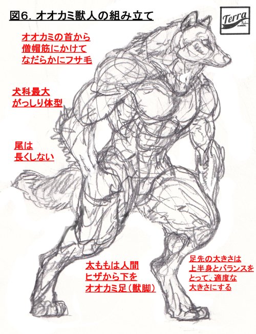 前田陸(Riku Maeda) tweet media