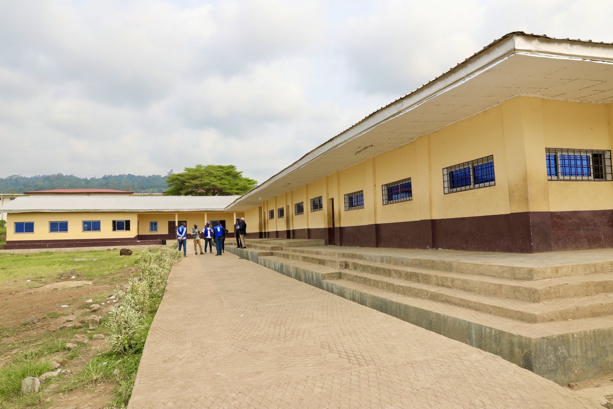 PNUD Cameroun tweet media