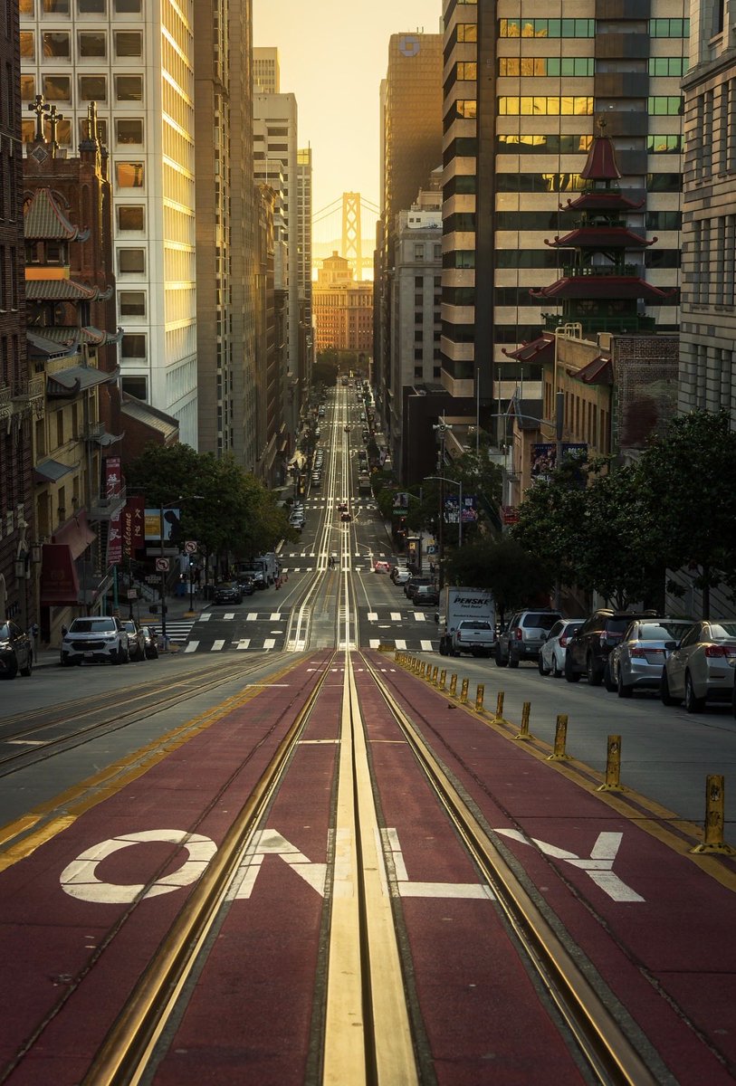 Brandon Yoshizawa tweet media