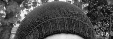 sid jenkins argento tweet media