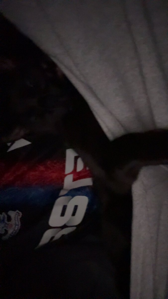 tillimeturmum's tweet photo. PLEASE don’t ignore this if you’re in the UK and know a company that can give me money fast please tell me, he doesn’t deserve this, he’s the sweetest cat in the world please help me save my cat https://t.co/JfBxDeHHmd