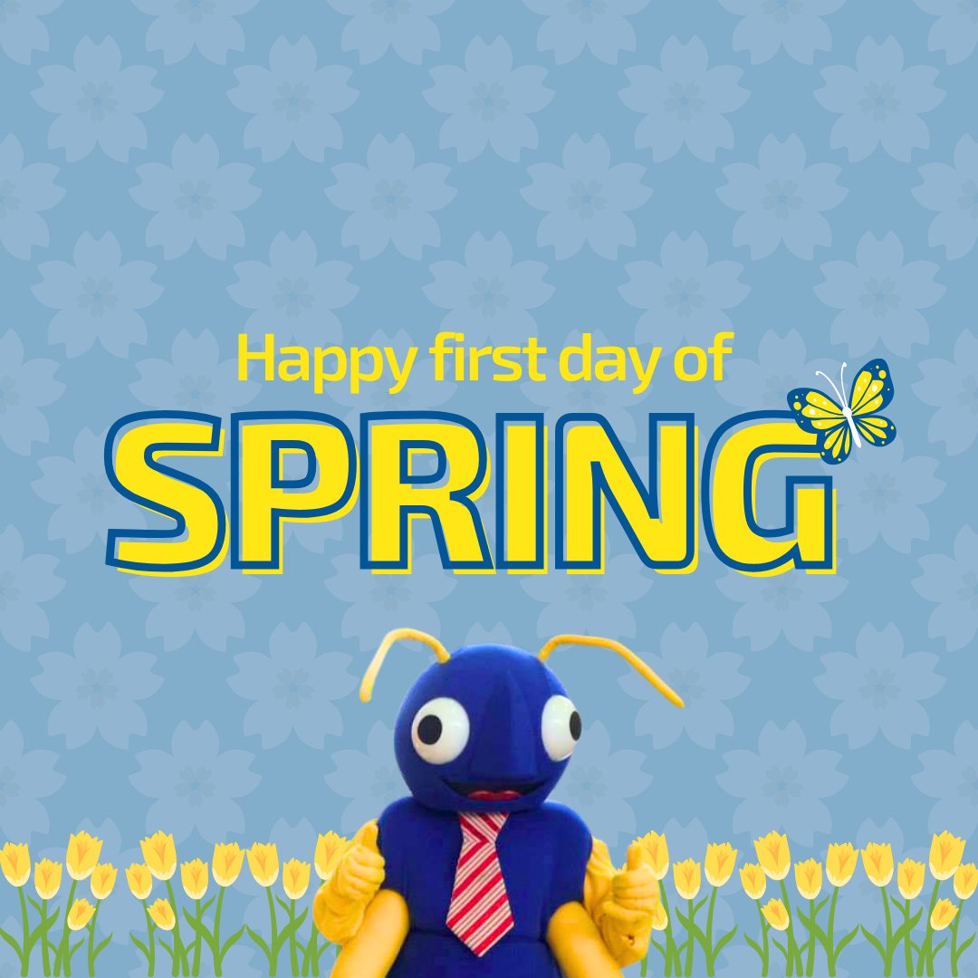 Big Blue Bug tweet media