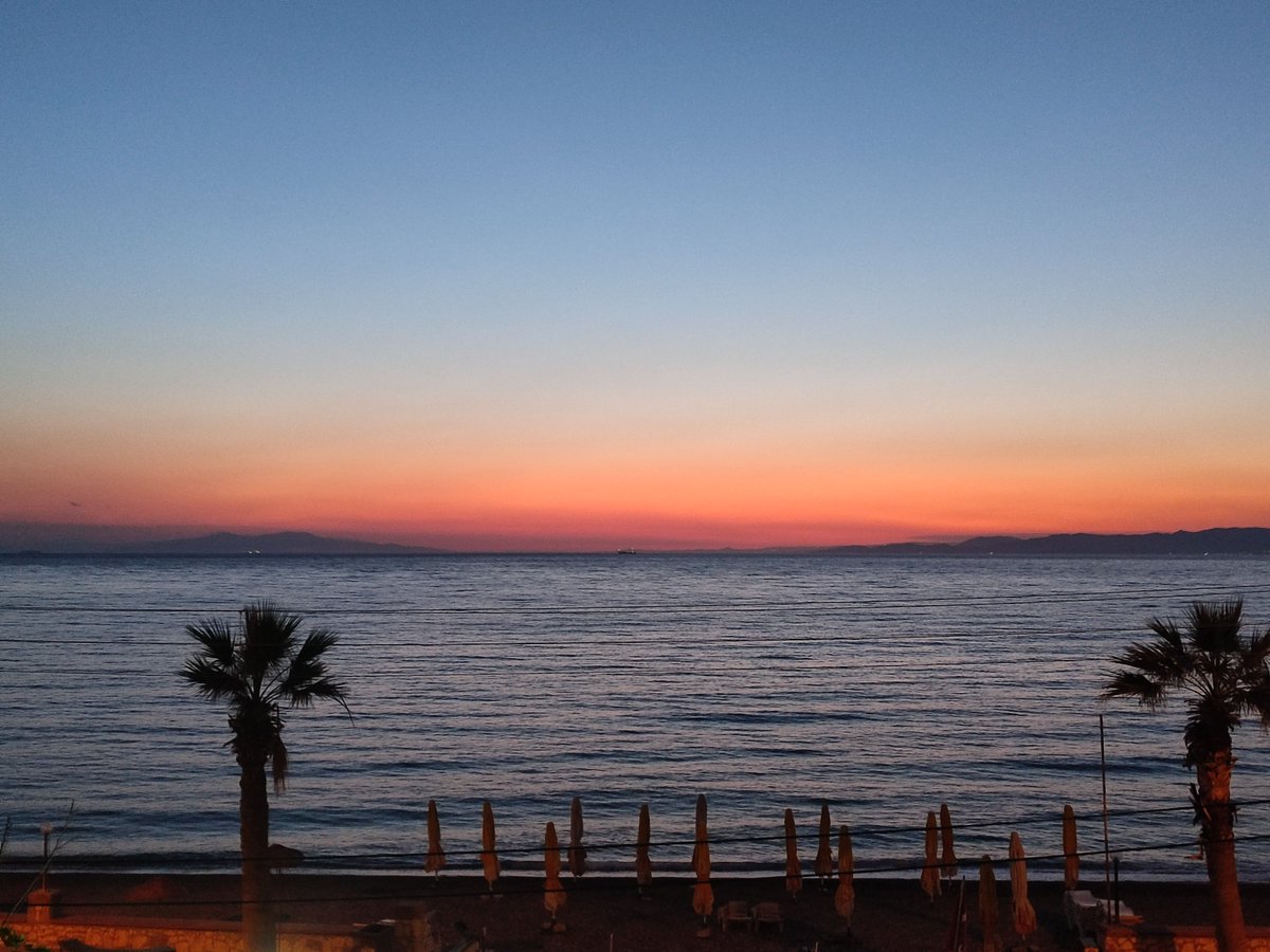 Arzu ŞENEVRENSEL tweet media