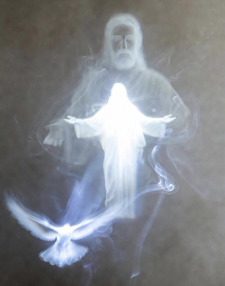 Michelle Caldwell tweet media