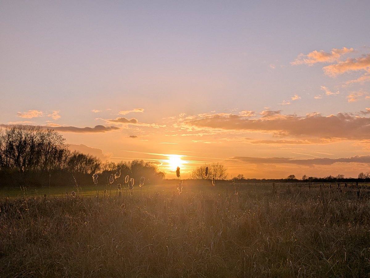 ForestSchoolCat tweet media