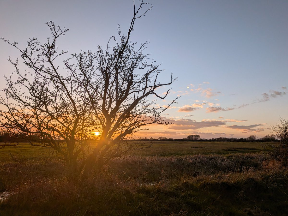 ForestSchoolCat tweet media