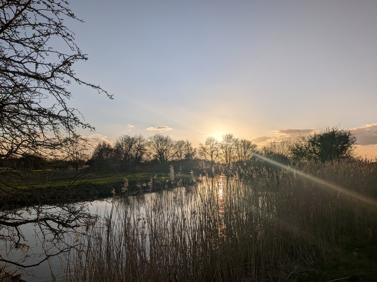 ForestSchoolCat tweet media