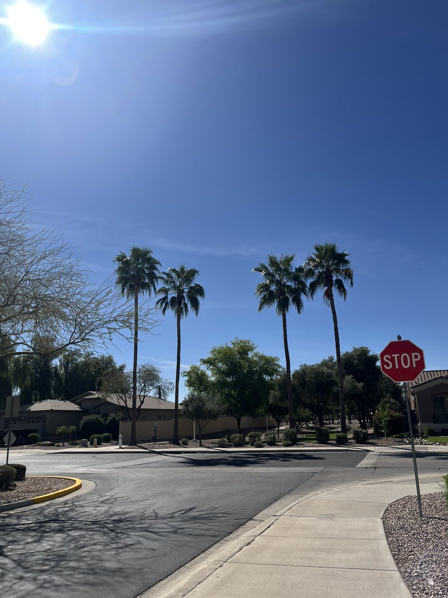 Squatchy Brew Dude😎 tweet media